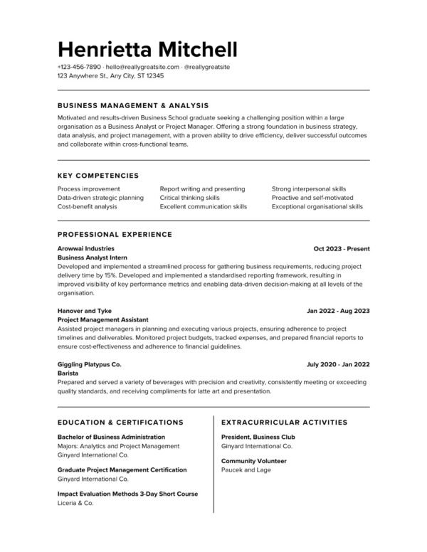 Business Management and Analysis Resumes