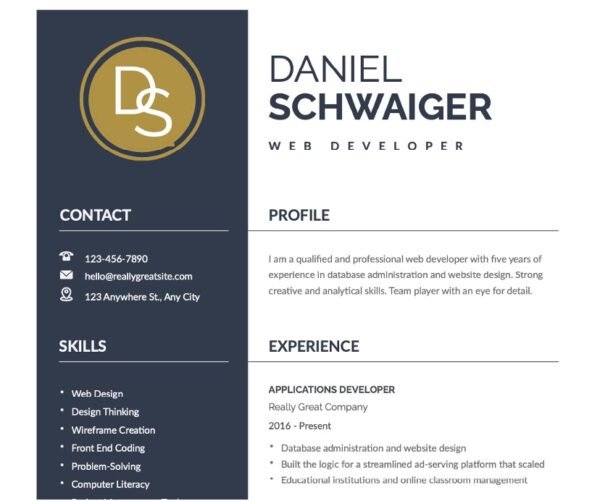 Professional Web Developer Resume Template