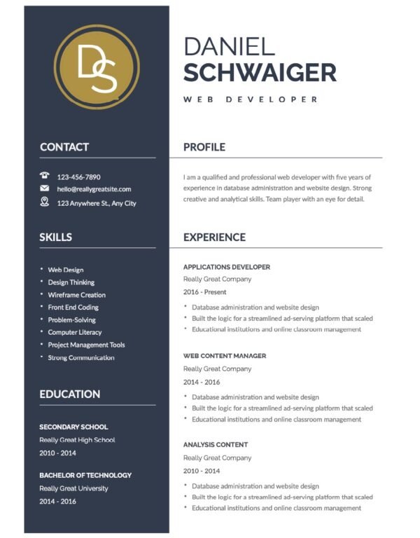 Professional Web Developer Resume Template